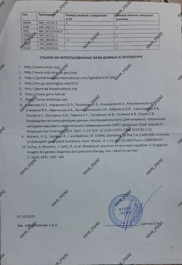 Сбор - изображение №11